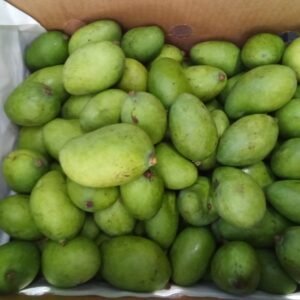 Mango Biche ( Verde ) (1K)