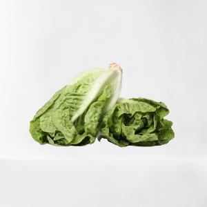 Lechuga Romana